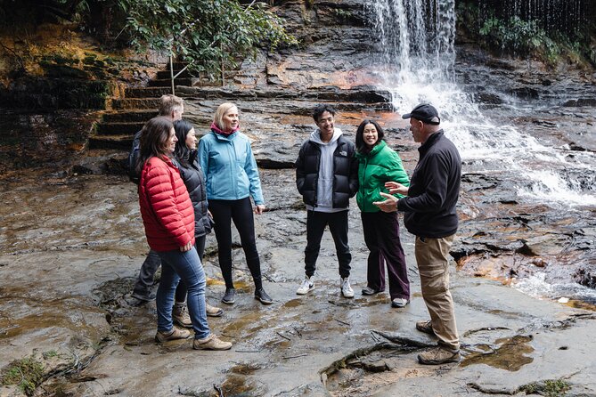 Blue Mountains Day Tour With Bushwalks, Waterfalls & Featherdale - Flexible Viewpoints in Blue Mountains National Park