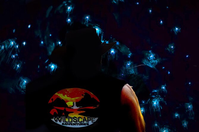 Blue Mountains Hiking Glow worms Cave Wildlife Spotlighting Night Adventure - Hotel pickup makes a late outing easier