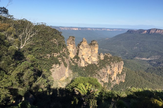 Blue Mountains Private Tour From Sydney, & Featherdale Aussie Animal Park Option - Why a private Blue Mountains day works well