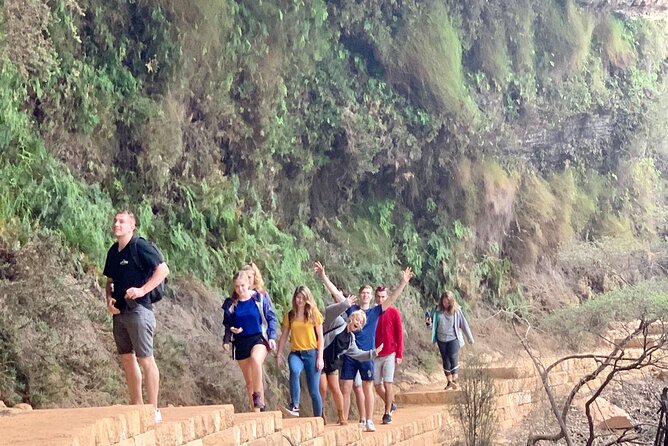 Blue Mountains Private Tour From Sydney, & Featherdale Aussie Animal Park Option - Wentworth Falls adds the walking