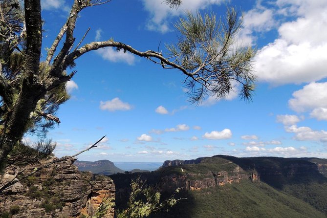 Blue Mountains Small-Group Insider Tour from Sydney - Why this Blue Mountains trip is different