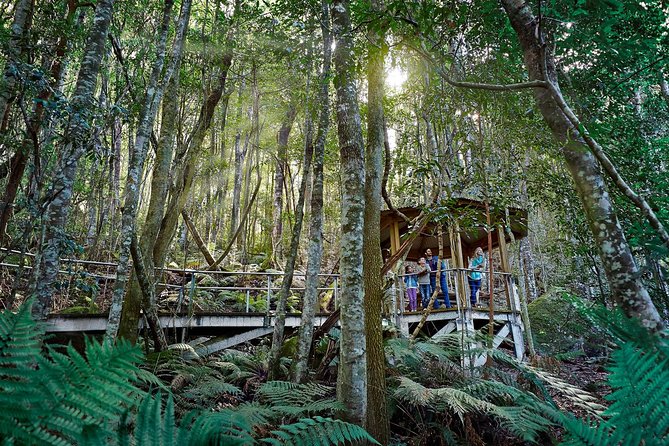Blue Mountains Small-Group Tour from Sydney with Scenic World,Sydney Zoo & Ferry - Scenic World: three rides and a rainforest walk
