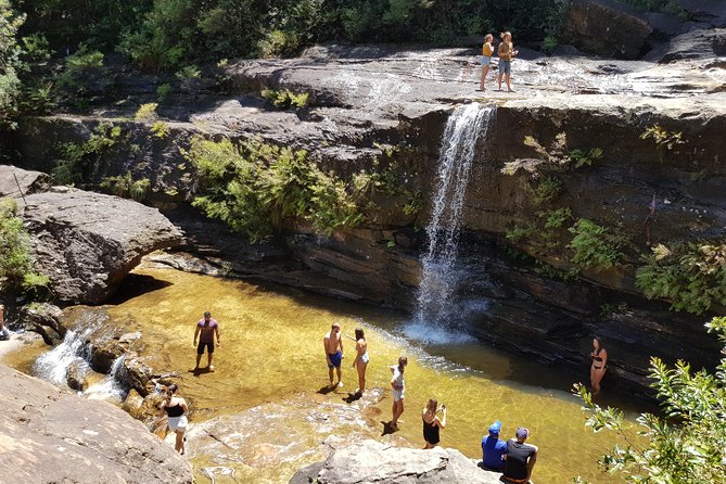 Blue Mountains Small Group Tour with Waterfall Walk & Fresh Lunch - Lunch, Tim Tams, and Vegemite