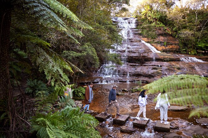 Blue Mountains Sunset Tour with Kangaroo Sightings from Sydney - Blue Mountains National Park and the first lookouts