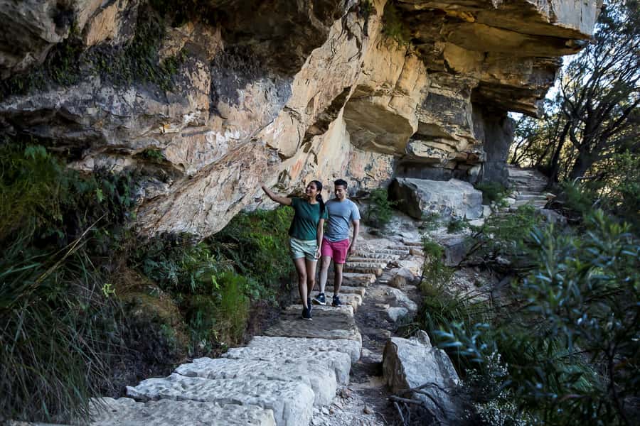 Blue Mountains Sunset Waterfalls Wildlife Tour From Sydney - Wildlife and Indigenous stories add meaning