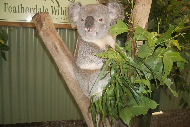 Blue Mountains Tour PRIVATE with Wildlife Park and River Cruise - Why this full-day route works