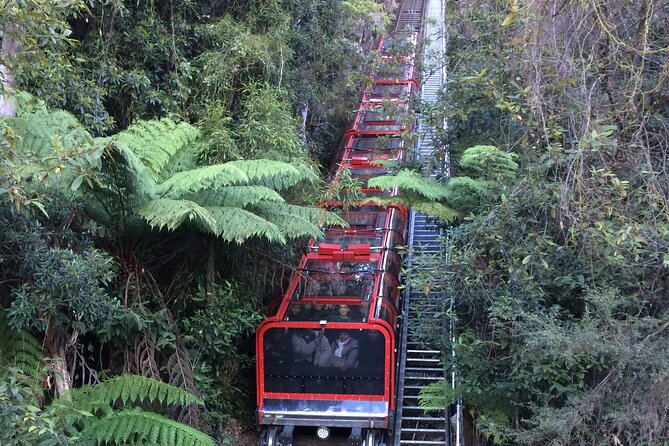 Blue Mountains Tour PRIVATE with Wildlife Park and River Cruise - Leura village and Wentworth Falls Lake