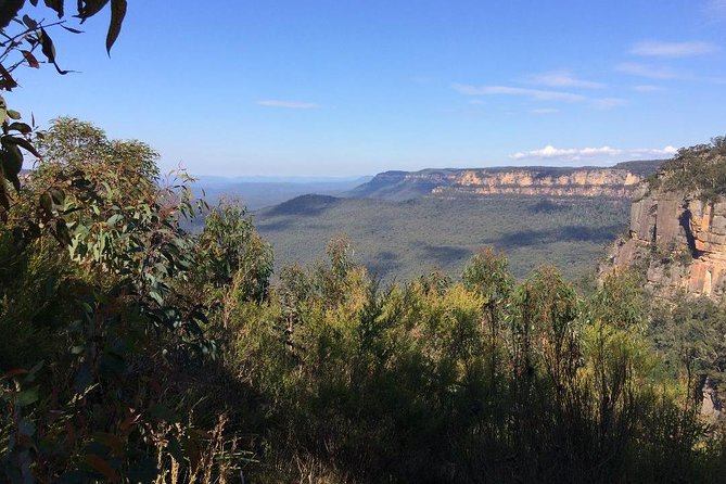 Blue Mountains Tour PRIVATE with Wildlife Park and River Cruise - Scenic World: worth the extra $49?