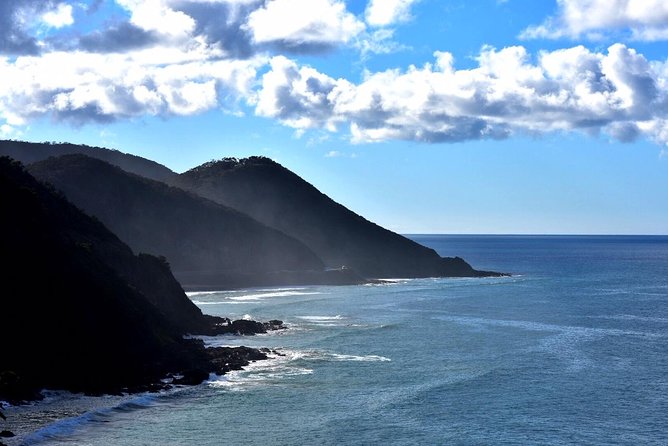 Boutique Great Ocean Road, wildlife and Rainforest Experience - Key points before you book