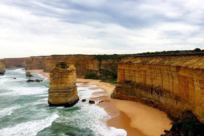 Boutique Great Ocean Road, wildlife and Rainforest Experience - Why this Great Ocean Road tour feels different
