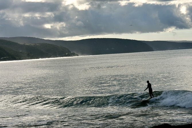 Boutique Great Ocean Road, wildlife and Rainforest Experience - Lorne adds a classic beach-town pause