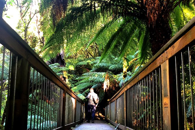 Boutique Great Ocean Road, wildlife and Rainforest Experience - Apollo Bay brings lunch to the wharf
