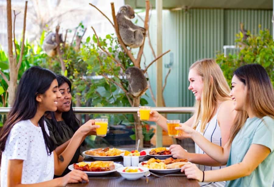 Breakfast with Koalas at WILD LIFE Zoo Darling Harbour - Why this early Darling Harbour experience works