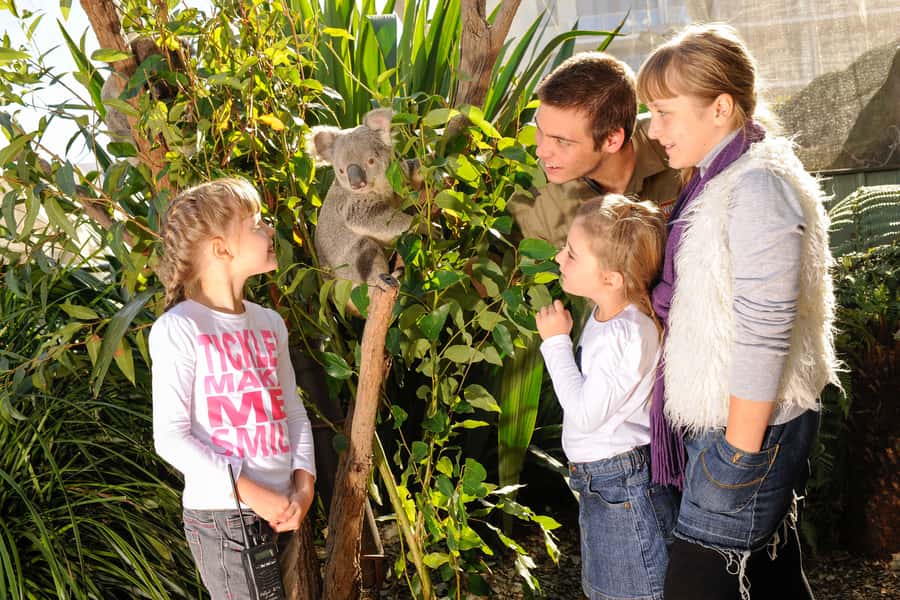 Breakfast with Koalas at WILD LIFE Zoo Darling Harbour - Staying inside WILD LIFE Sydney Zoo afterward