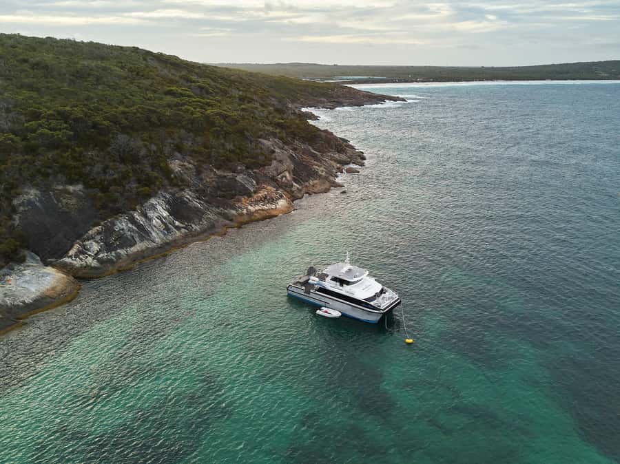 Bremer Bay: Bremer Canyon Killer Whale Expedition - Who should book this expedition