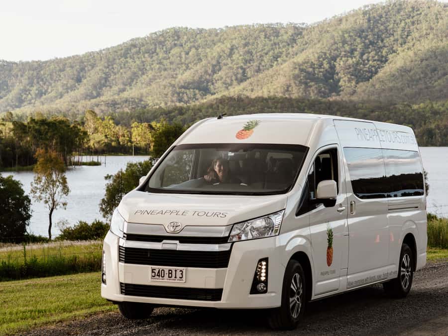 Brisbane: Daytime Glow Worm Caves Hop-on Hop-off Bus Tour - Why this tour works well from Brisbane