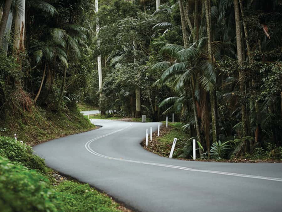 Brisbane: Daytime Glow Worm Caves Hop-on Hop-off Bus Tour - Scenic viewpoints on the Scenic Rim drive