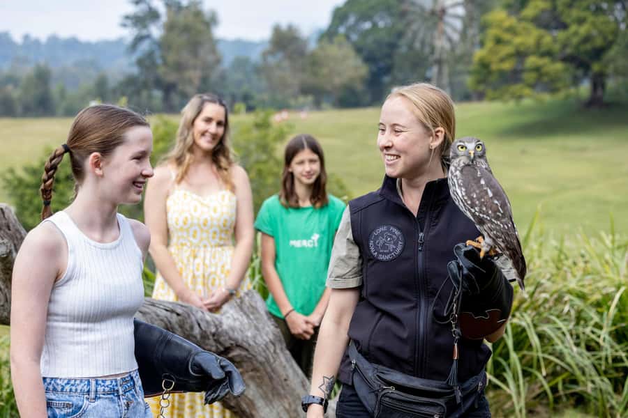 Brisbane: Lone Pine Koala Sanctuary Day Pass - What the full day feels like