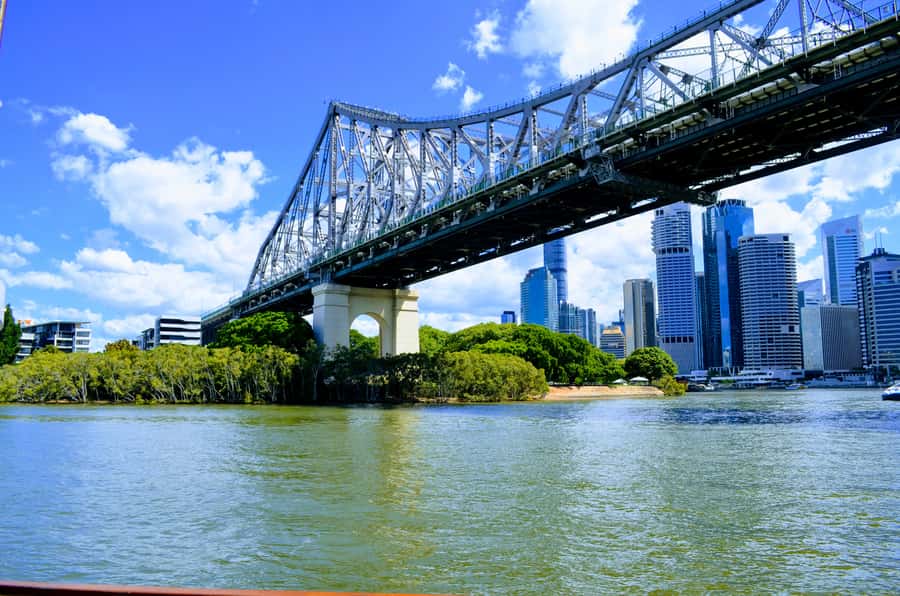 Brisbane: Morning Sightseeing Cruise: 10:30am-12pm (90min) - Key points at a glance