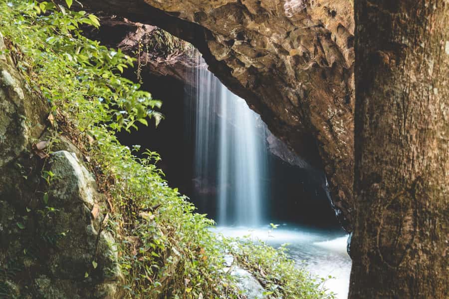 Brisbane: Rainforests, Waterfalls and Glow Worm Cave Tour - Hang Glider Lookout and the Scenic Rim