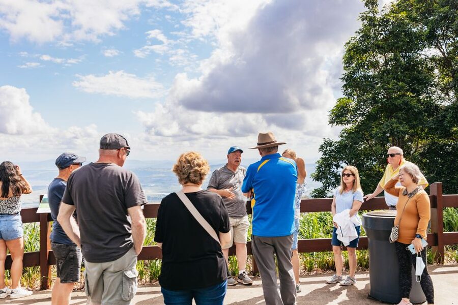 Brisbane: Rainforests, Waterfalls and Glow Worm Cave Tour - Gallery Walk gives you time to eat and browse