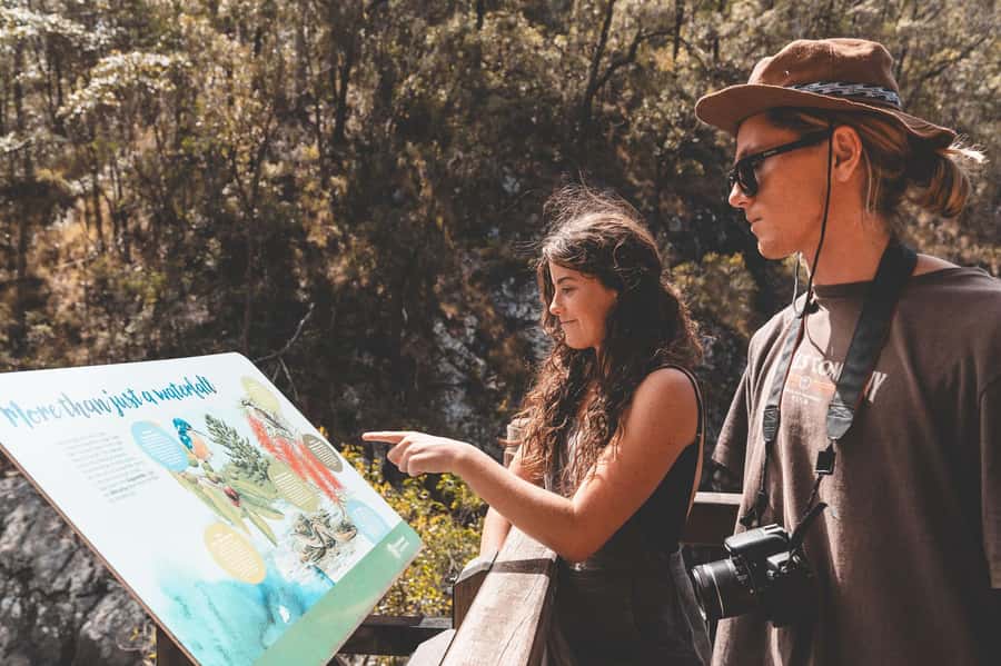 Brisbane: Rainforests, Waterfalls and Glow Worm Cave Tour - The drive through Numinbah Valley