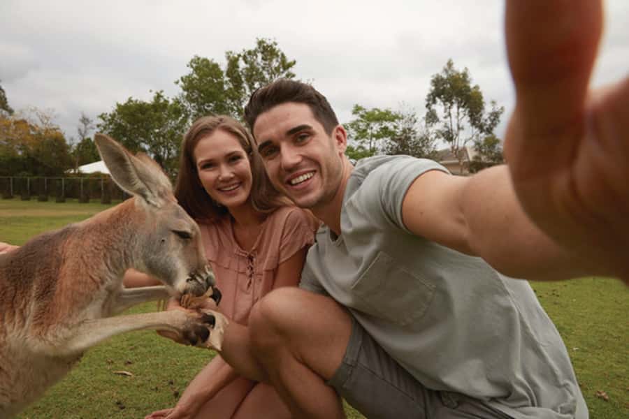 Brisbane River Cruise and Koala Sanctuary Visit - Starting beside Brisbane’s cultural center