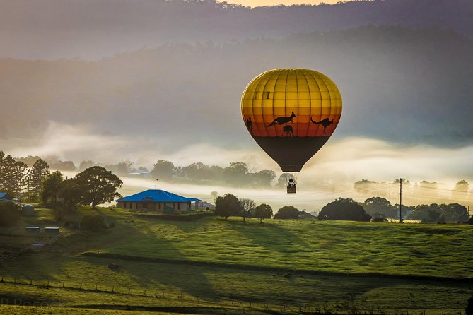 Brisbane's closest Hot Air Balloon Flights - City & Country views - 1 hr flight! - Who will enjoy it most?