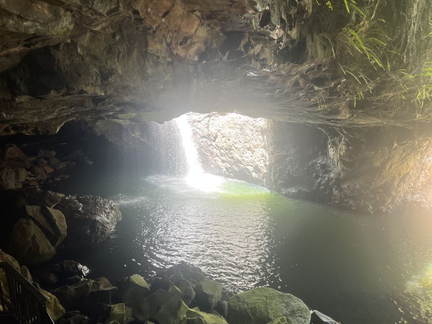 Brisbane: Springbrook and Mt Tamborine Glow Worm and Skywalk - Included lunch keeps the day simple