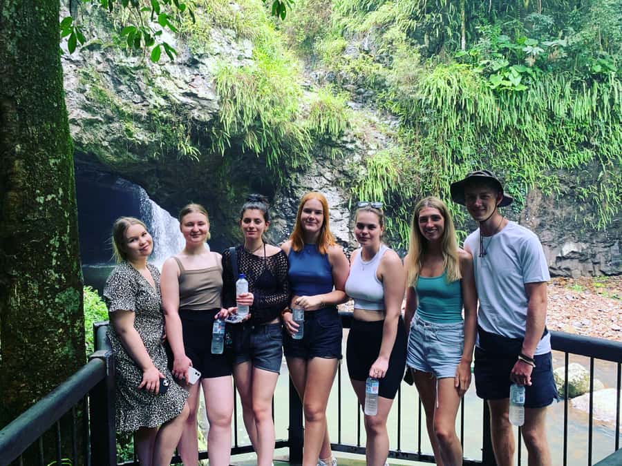Brisbane: Springbrook and Mt Tamborine Glow Worm and Skywalk - The glow worm cave is short but unusual