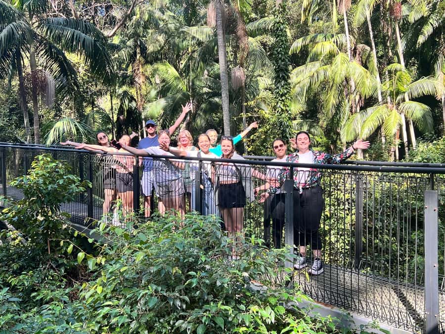 Brisbane: Springbrook and Mt Tamborine Glow Worm and Skywalk - What the $159 price really covers