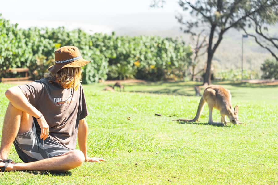 Brisbane: Stradbroke Island Eco Tour - Small Group, Full Day - Key points at a glance