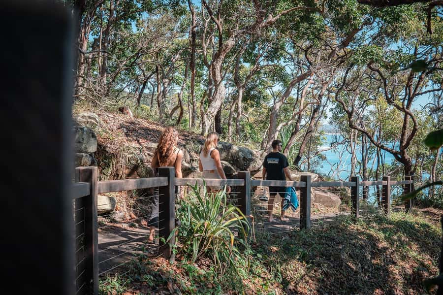 Brisbane: Sunshine Coast Hinterland & Noosa Scenic Tour - Why this makes a strong Brisbane day trip