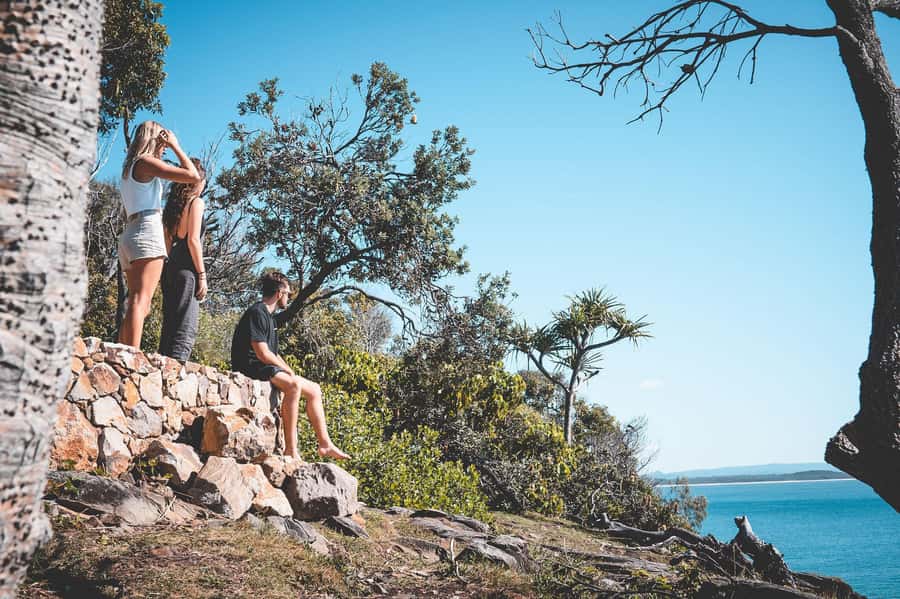 Brisbane: Sunshine Coast Hinterland & Noosa Scenic Tour - Two hours in Noosa Heads