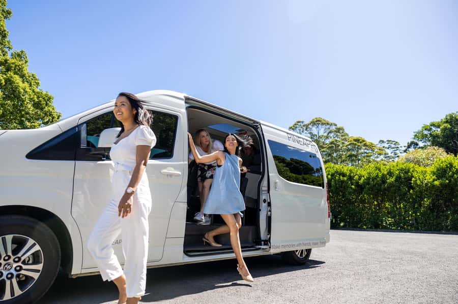 Brisbane: Tamborine Mountain Local Winery Tour with Lunch - Key points at a glance