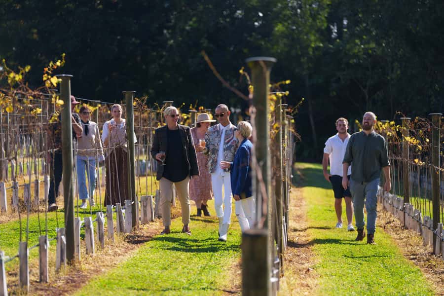 Brisbane: Tamborine Wine & Distillery Tour - Who will enjoy this tour most