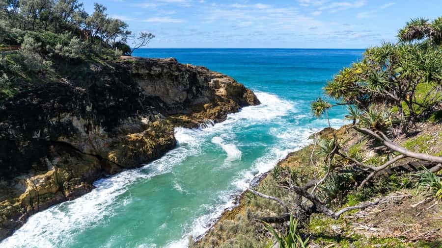 Brisbane to North Stradbroke Island Day: Wildlife & Beaches - Why Minjerribah Makes a Good Day Trip From Brisbane