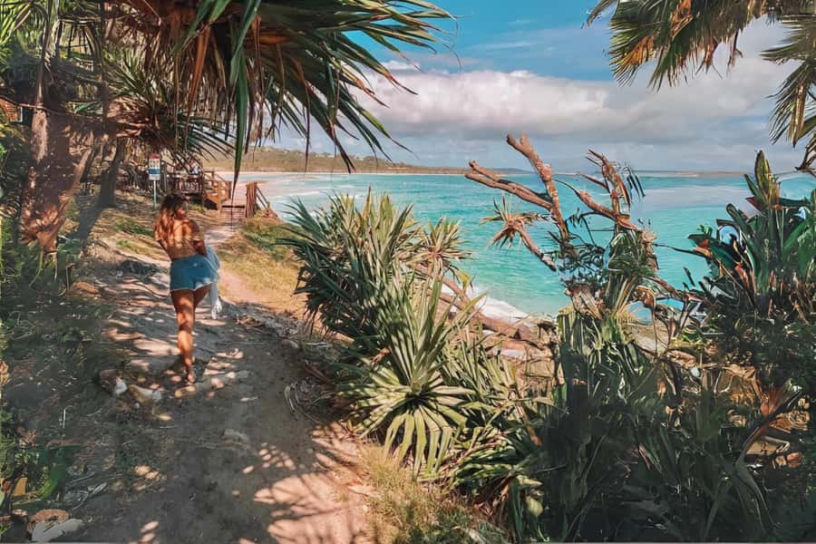 Brisbane to North Stradbroke Island Day: Wildlife & Beaches - Guides, Group Size, and the Human Side of the Day