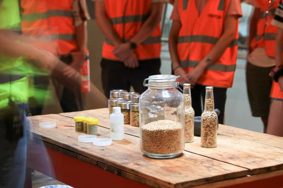 Brisbane: XXXX Beer Brewery Tour and Beer Tasting - Who will enjoy this brewery tour?