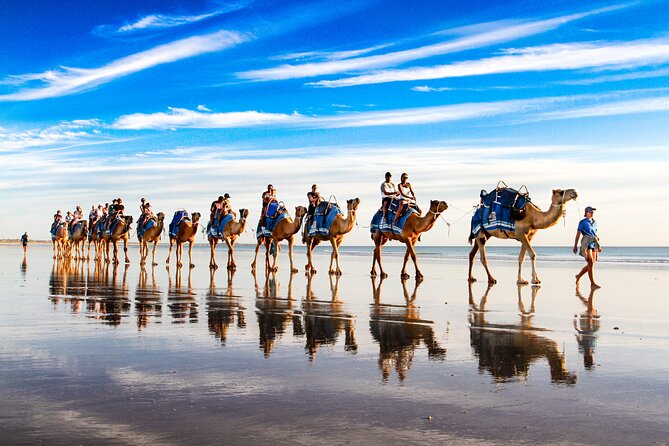 Broome Pre-sunset Camel Tour 30 minutes - Why Cable Beach makes this ride special