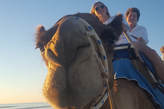 Broome Pre-sunset Camel Tour 30 minutes - What the 30-minute camel ride feels like
