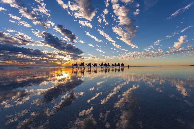 Broome Pre-sunset Camel Tour 30 minutes - A good choice for families and older riders