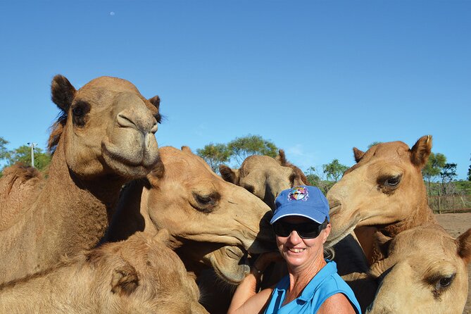 Broome Pre-sunset Camel Tour 30 minutes - Price and practical value at $27