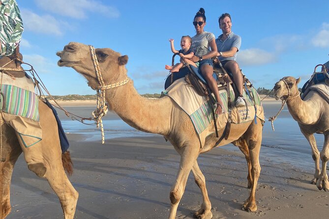 Broome Pre-sunset Camel Tour 30 minutes - Meeting the camels before you ride