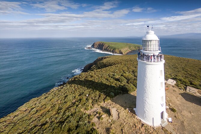 Bruny Island Food, Sightseeing, Guided Lighthouse Tour & Lunch - Five things to know before booking