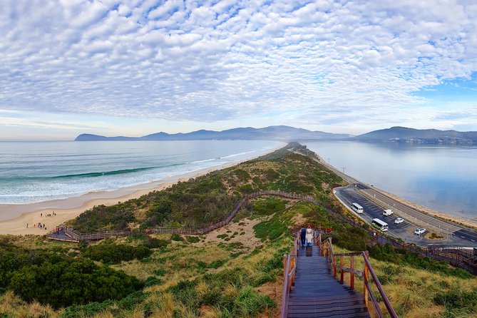 Bruny Island Food, Sightseeing, Guided Lighthouse Tour & Lunch - What the 10-hour schedule feels like