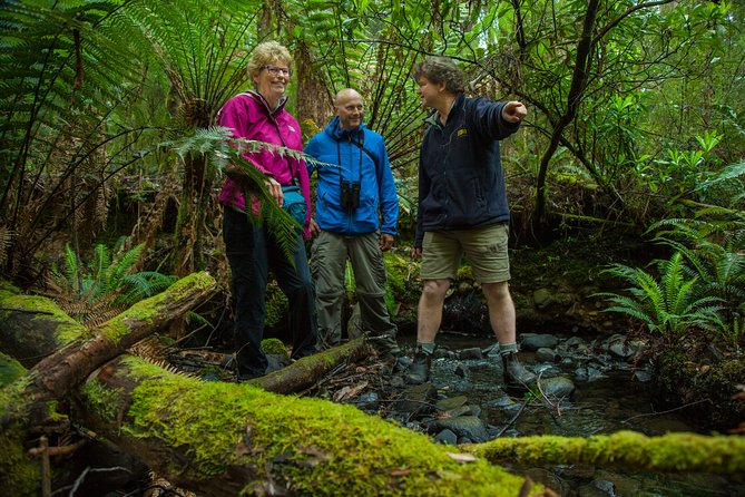 Bruny Island Traveller - Gourmet Tasting and Sightseeing Day Trip from Hobart - Crossing from Hobart to Bruny Island