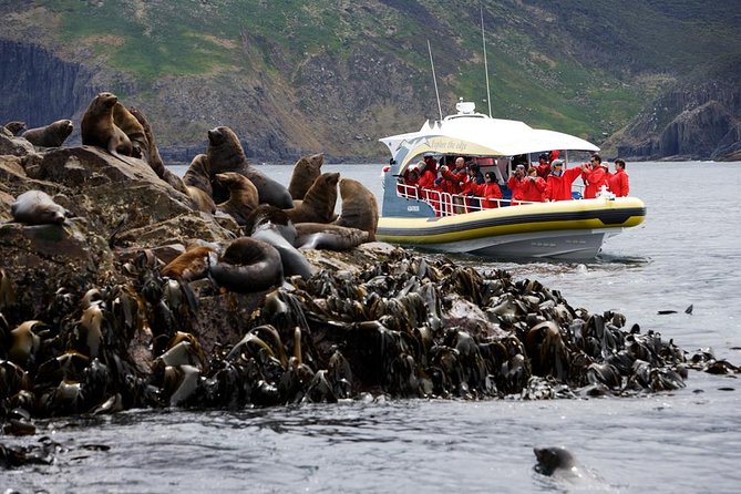 Bruny Island Wilderness Cruise from Adventure Bay, Bruny Island - The Bruny Island cruise at a glance