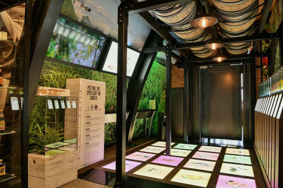 Bundaberg: Brew Tasting and Self-Guided Gallery Tour - Why the $14 price offers strong value