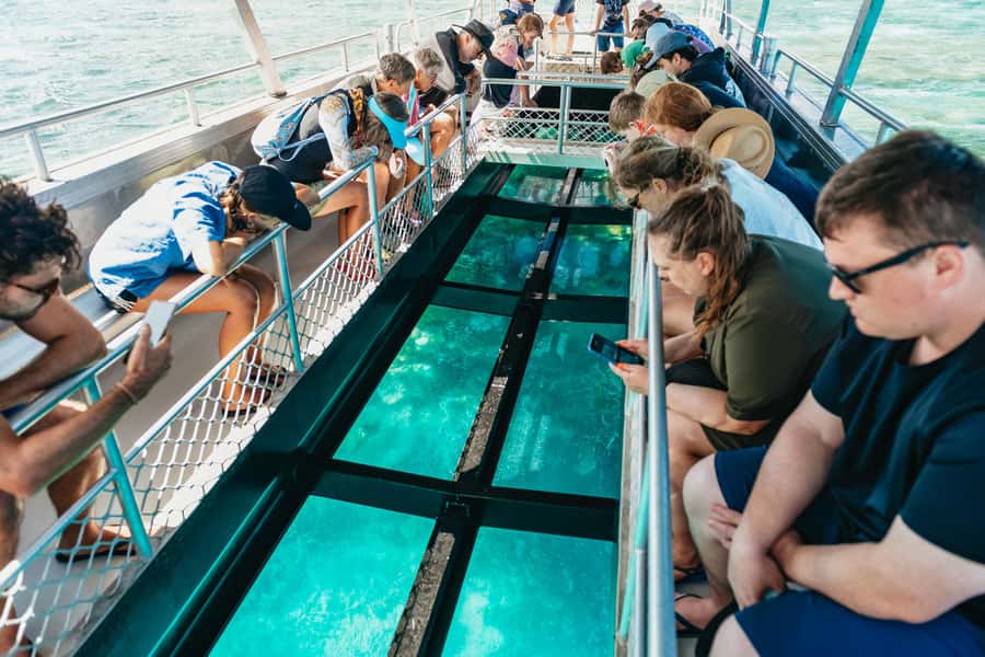 Bundaberg: Lady Musgrave Island and Great Barrier Reef Tour - Five details that shape your day